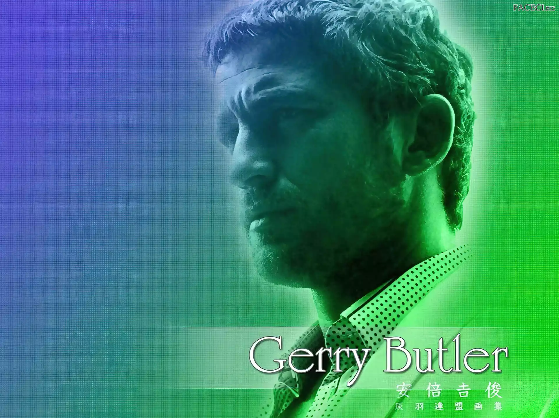 broda, Gerard Butler, jasne włosy