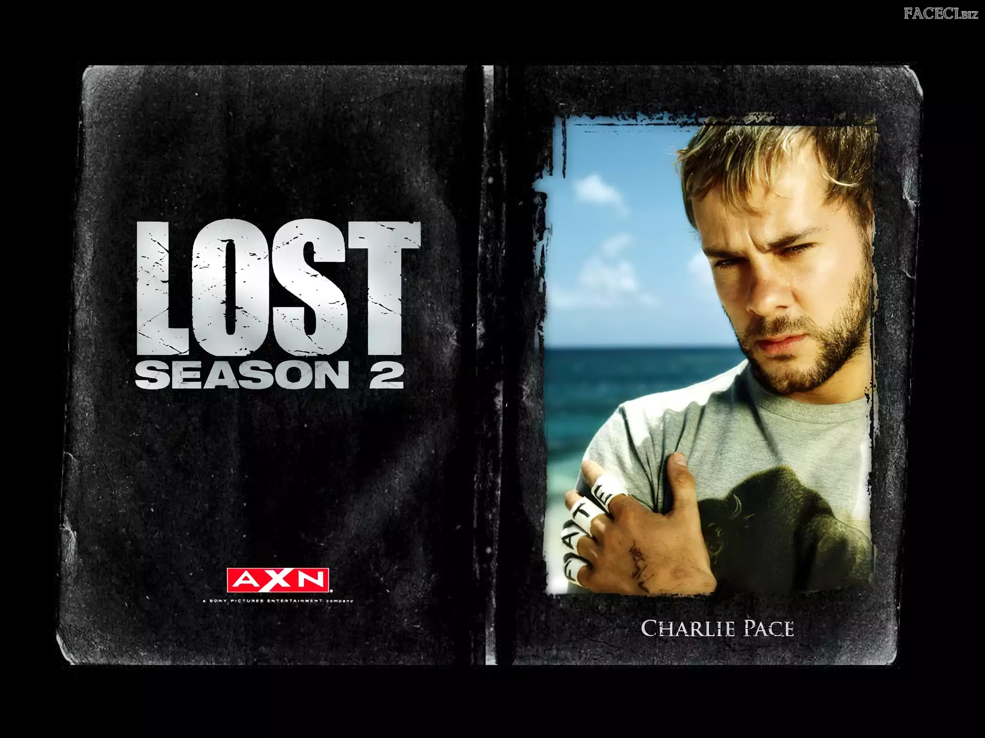 Dominic Monaghan, zdjęcie, Filmy Lost, plastry