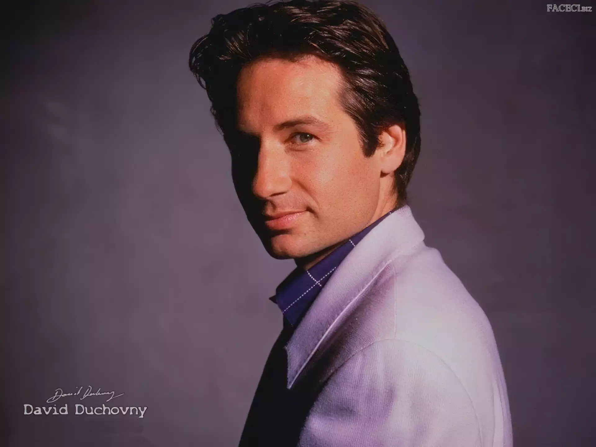 marynarka, David Duchovny, koszula